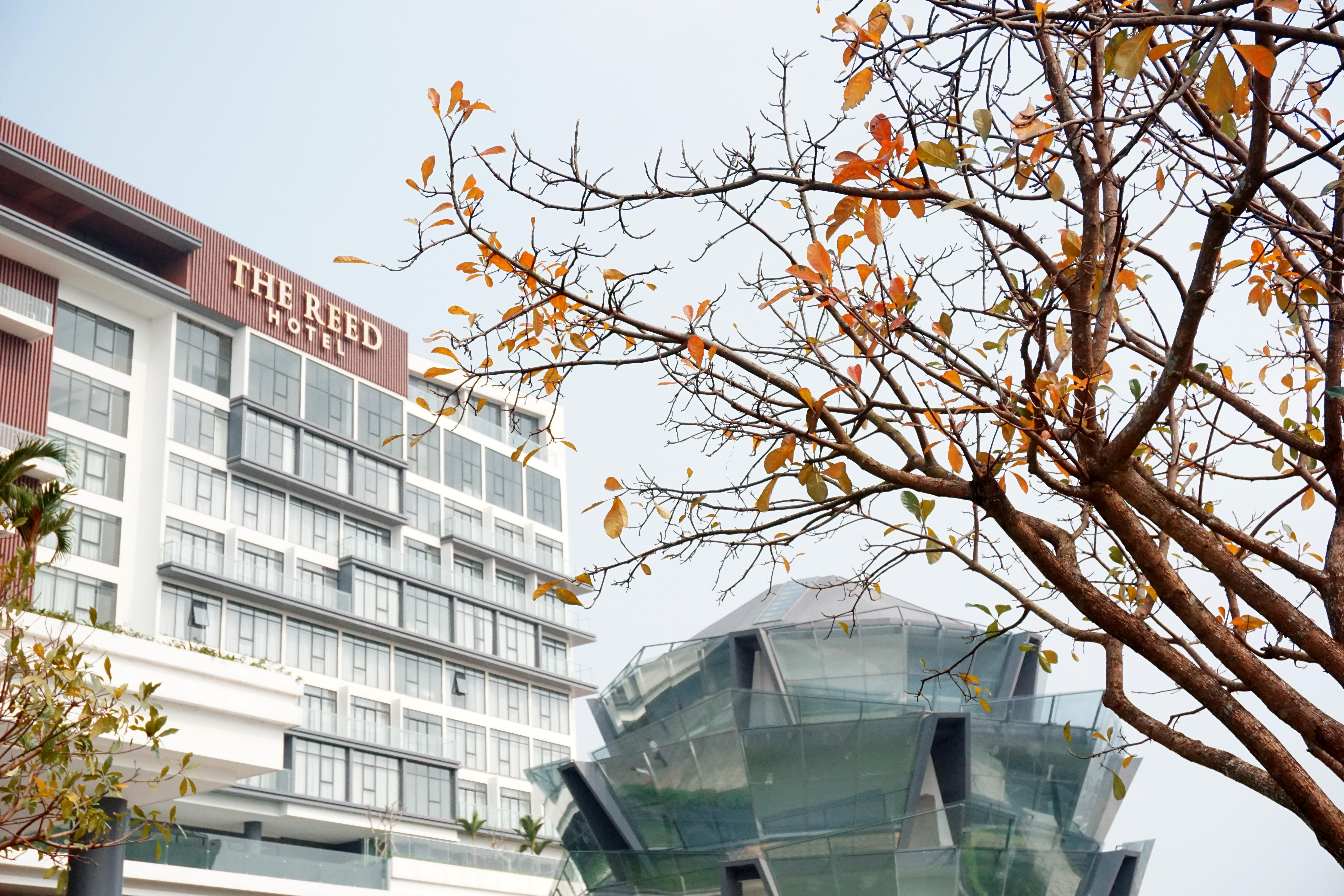 The Reed Hotel Ninh Binh Exterior foto